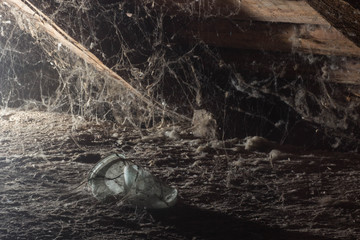 Web in the attic of the house, a unique moment, a spider