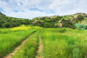 Fototapeta na wymiar Crimea, Kerch. Nature reserve - dirt road. Hiking landscape park