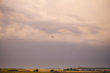 beautiful orange sunset sky with clouds, bird in the sky.