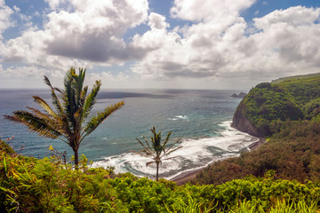 Fototapeta na wymiar Big Island of Hawaii coast
