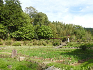 田舎の植物園