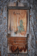 Old Wooden Birdhouse on Tree