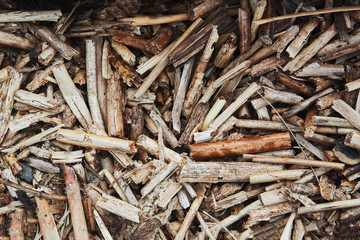 Wooden trash on river beach