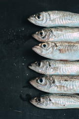 Fresh organic fish on ice on the market on dark vintage background  close-up.