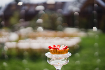 Candy bar with tasty desserts and appetizers at wedding reception. Decorated with flower compositions and candles. Sweet food, dessert, buffet, catering table, restaurant.