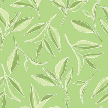 Matcha Green Tea Leaves Graphic Pattern on Green Background
