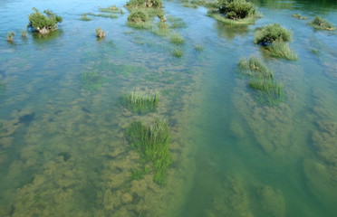 River Una on a summer day in Hrvatska Kostajnica, Croatia
