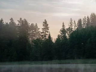 Foto auf Acrylglas Wald im Nebel Nebelige und mystische Seenlandschaft vor Sonnenaufgang. Alle Silhouetten sind verschwommen und unklar. Vaidavas-See, Lettland