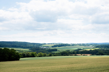 Fototapeta premium landscape between la roche and bastogne in the belgian ardennes