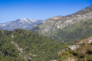 Fototapeta na wymiar View on the summer mountains 2