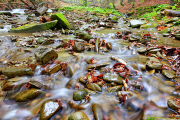 The waters of the forest brook run on stone pebbles and fallen leaves in the autumn forest.