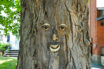 visage sur un arbre en ville