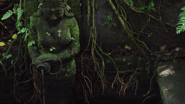 Koi pond and statue in the Monkey Forest. Ubud, Bali