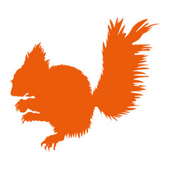 Vector illustration Squirrel silhouette in red
