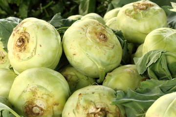 Naklejka premium Heap of fresh kohlrabi cabbage close-up.