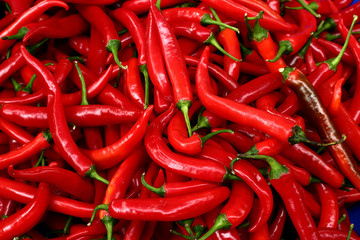 Heap of red chili peppers.