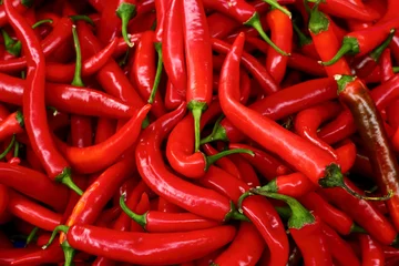 Foto auf Acrylglas Scharfe Chili-pfeffer Red chili peppers close-up.