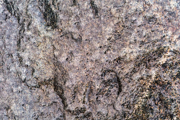 Sea stone texture. Panel texture. Spots gray red background. Background fill. Natural stone background.