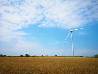 Windmills on one of the wheat fields of Ukraine. Energy saving concept