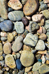 Various pebbles that could be found on the beach.