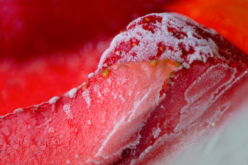 juicy strawberries of red color, covered with hoarfrost. close-up