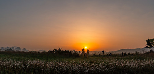 Fototapeta na wymiar A panoramic view of the sunrise from Sorae Wetland Park, korea