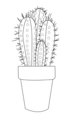 pot cactus plants illustration 