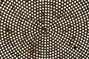 Mestrovic Pavilion also known as the Home of Croatian Artists, museum roof structure in Zagreb, Croatia