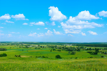 Fototapeta premium Green field and blue sky background. Landscape, nature concept. Nature Background.