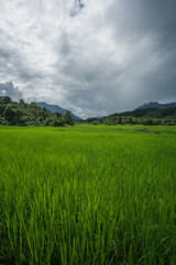 Beautiful day around the fields and the dirt roads of Vang Vieng area in Laos.  This place feels out of this world , full of green mountains and rice fields , blue lagoons and rivers.  