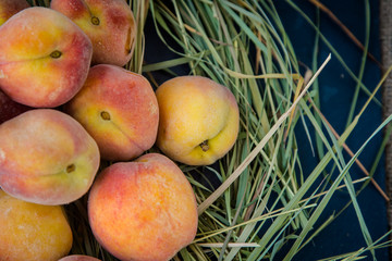 ripe orange peaches on the hay