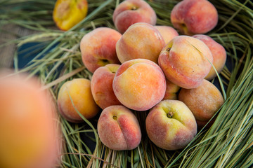Naklejka na ściany i meble ripe orange peaches on the hay