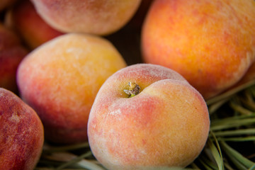 Fototapeta na wymiar ripe orange peaches on the hay