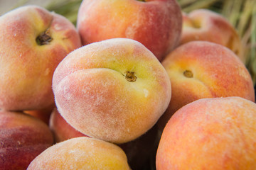 ripe orange peaches on the hay