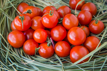 ripe cherry tomatoes in rustic style