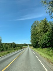 Empty road, forest view