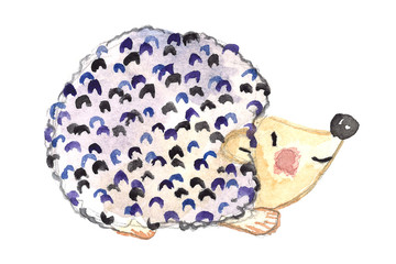 Watercolor blue hedgehog