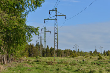 Stromleitung durch ein Waldgebiet