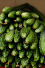 green cucumbers in the store on the counter in the box at the grocery market