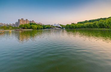 Obraz premium Evening scenery at Daning Tulip Park, Shanghai, China 