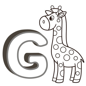 coloring book alphabet with capital letters of the English and cute cartoon animals and things. Coloring page for kindergarten and preschool. Cards for learning English. Letter  G. Giraffe