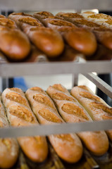fresh baked baguettes cooling on racks in the bakery