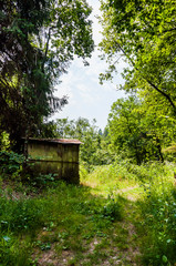 Dorf Tirol, Tirolerweg, Tiroler Kreuz, Wald, Waldweg, Wanderweg, Holzhaus, Vinschgau, Südtirol, Sommer, Italien