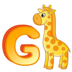 bright illustrations alphabet with capital letters of the English and cute cartoon animals and things. Poster for kindergarten and preschool. Cards for learning English. Letter  G. Giraffe
