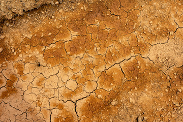 Cracked Dry Clay Ground Background and Texture