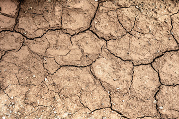 Cracked Dry Clay Ground Background and Texture