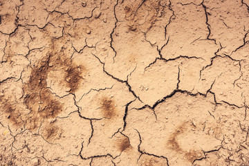 Cracked Dry Clay Ground Background and Texture