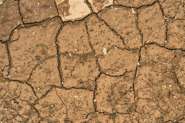 Cracked Dry Clay Ground Background and Texture