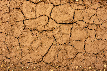 Cracked Dry Clay Ground Background and Texture