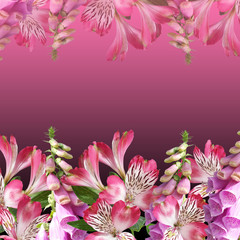 Beautiful floral background of digitalis and alstroemeria. Isolated